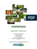 Hidroponia Dossietecnico Ageorgelamaralsjaisingh 110208182824 Phpapp01