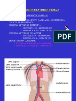 Esquemas Cardiocirculatorio