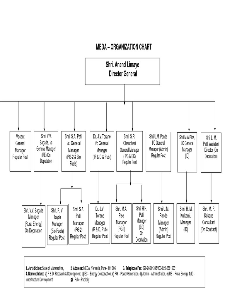 MEDA Organization Chart Overview | PDF