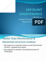 SAP ECC 6.0 Master Data Maintenance and Plant Hierarchical Structure Creation