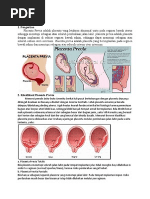 Chiroyli sperma porno