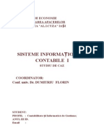 Sisteme Informationale Contabile - Studiu de Caz - SC AtlaSib SRL