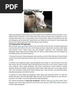 Download Pengertian Daging Sapi Glonggongan Daging Ayam by Andri Pamungkas SN233842369 doc pdf