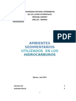 AMBIENTE SEDIMENTARIOS UTILIZADOS EN LOS HIDROCARBUROS.doc