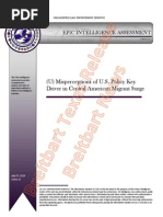 Download Leaked EPIC Document by BreitbartTexas SN233856565 doc pdf