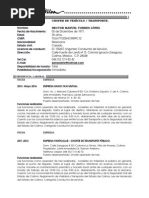 Curriculum Hector Manuel PDF