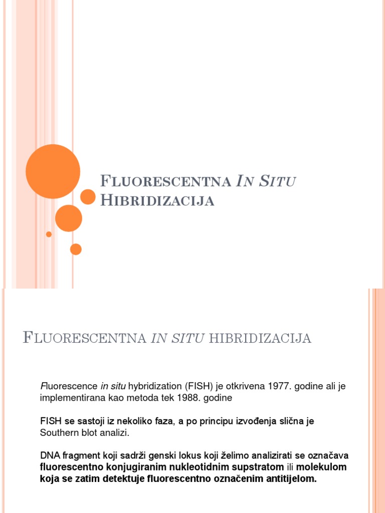 FISH Metoda. | PDF