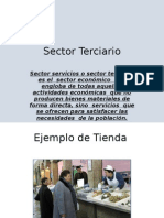 Sector Terciario-Leonard Escudero