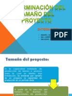 Diapos Proyectos