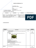 Sesión de Aprendzaje Tipos de Hojas