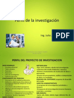 Perfil de La Investigación - Pps