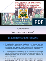 Carbunco Bacteriano y Parvovirosis Canina