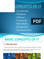 1 Basic Concepts in It