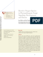 Reactive Oxygen Species in Phytopathogenic Fungi