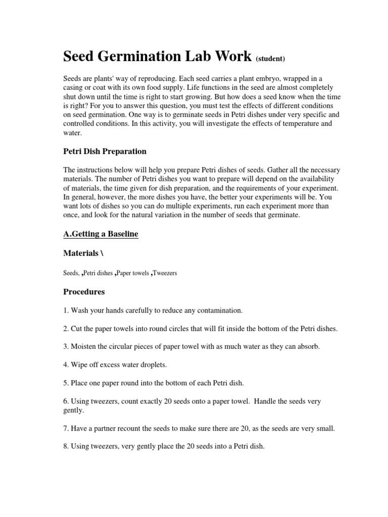 Seed Germination Lab Work Seed Germination