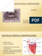 Patología de Válvulas Auriculo Ventriculares