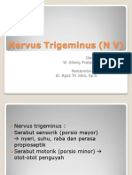 Nervus Trigeminus (N V)