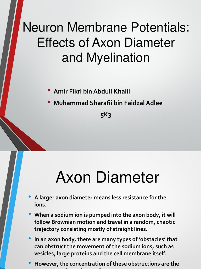 Biology Nervous System | PDF | Axon | Myelin