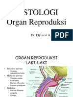 Histologi Organ Reproduksi