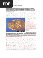 Download Wildlife Journal Summaries by vetpathforum SN23399563 doc pdf