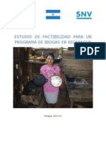 Estudio de Factabilidad para Un Programa de Biogas Nicaragua 2010