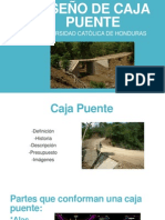 Diseño de Caja Puente