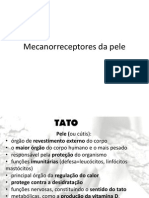 Mecanorreceptores Da Pele