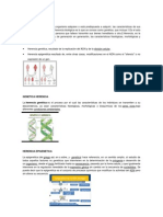 Herencia Biologica