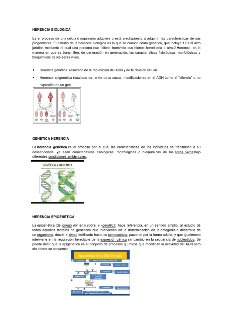 HERENCIA BIOLOGICA Java (Lenguaje de programación