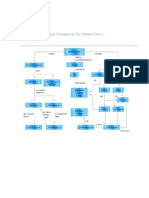 Mapa Conceptual Del Metabolismo