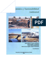 Quimica y Sustwntabilidad Ambiental