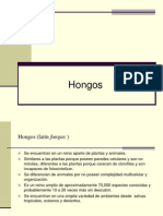 hongos