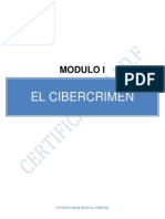 1 - El Cibercrimen