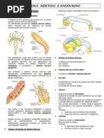 Sistema Nervoso e Endócrino Pré Seed