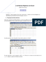 291009 RPP NewtonRaphson in Excel