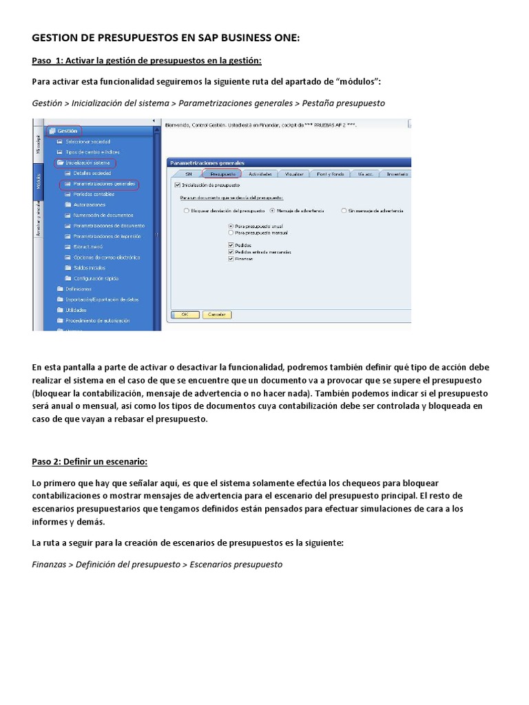 Gestión de Presupuestos en SAP B1 8.82 | PDF | Presupuesto | Software