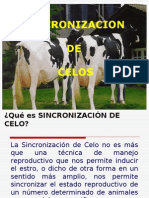 Sincronización y Poliovulación