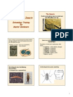 2010 MG Entomology