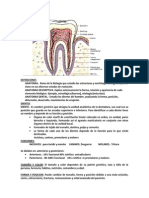 Resumen Anatomia Dental