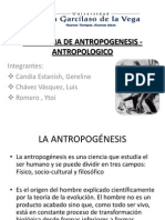 Problema de Antropogenesis - Antropologico