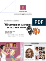 Application of Electronic Marketing in Dilo Hair Salon: Project