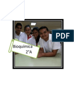 labo 1 de bioquimica