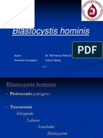 Blastocystishominis 100206164909 Phpapp01