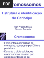 2+Cromossomos+e+cariótipo