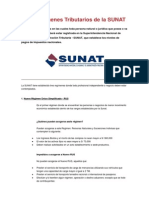 Los Regímenes Tributarios de La SUNAT - RESUMEN