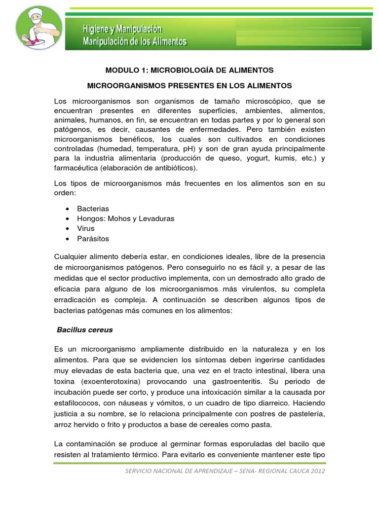 Microorganismos Presentes en Los Alimentos | PDF | Microorganismo ...