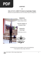 Internship in Tata agrico 2009