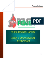 Ind Pemex020408