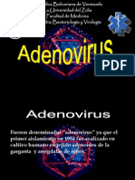 Adenovirus y Papilomavirus
