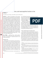 B Vitamins, Homocysteine, and Neurocognitive Function in The Elderly